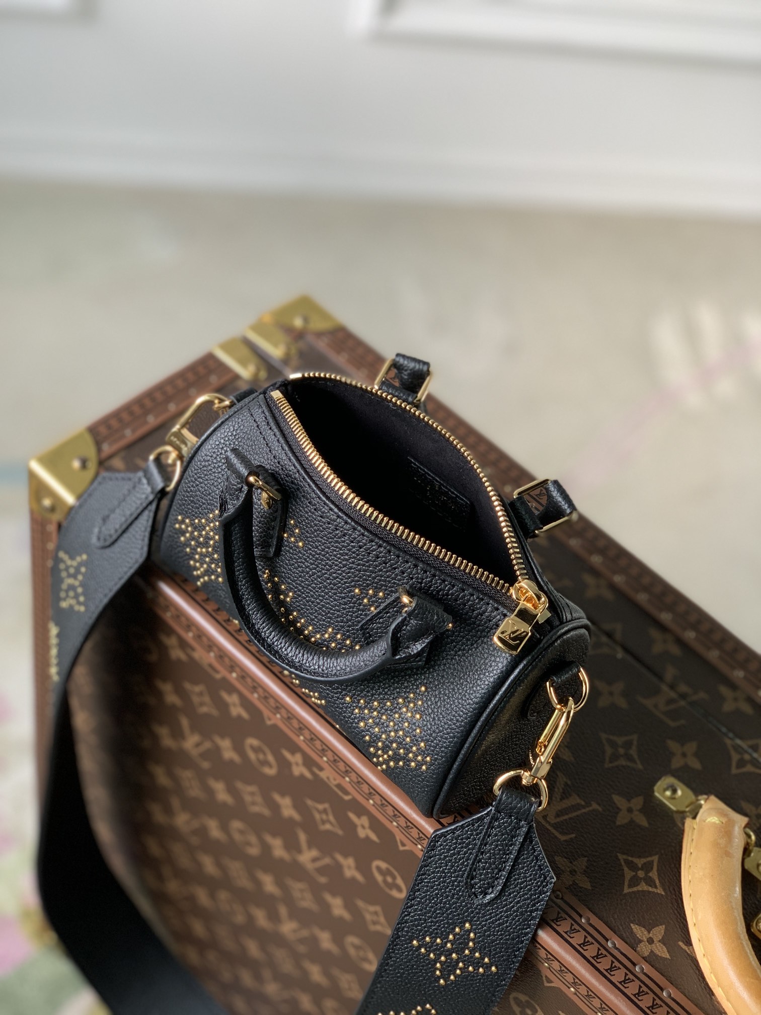 LV Speedy Bags